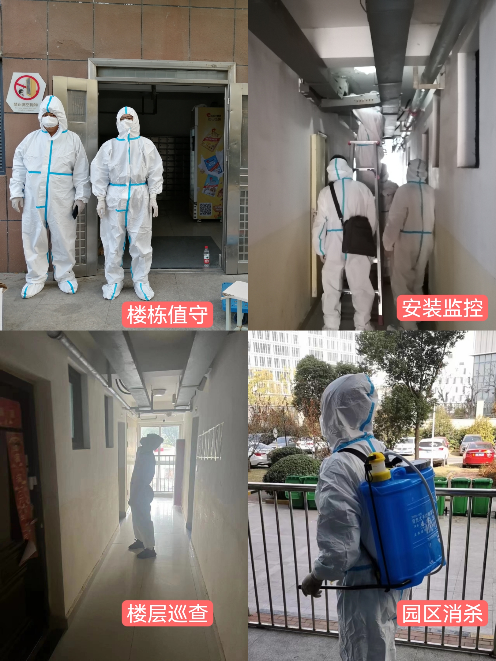 ������k8����Ӯ�ҡ�һ������