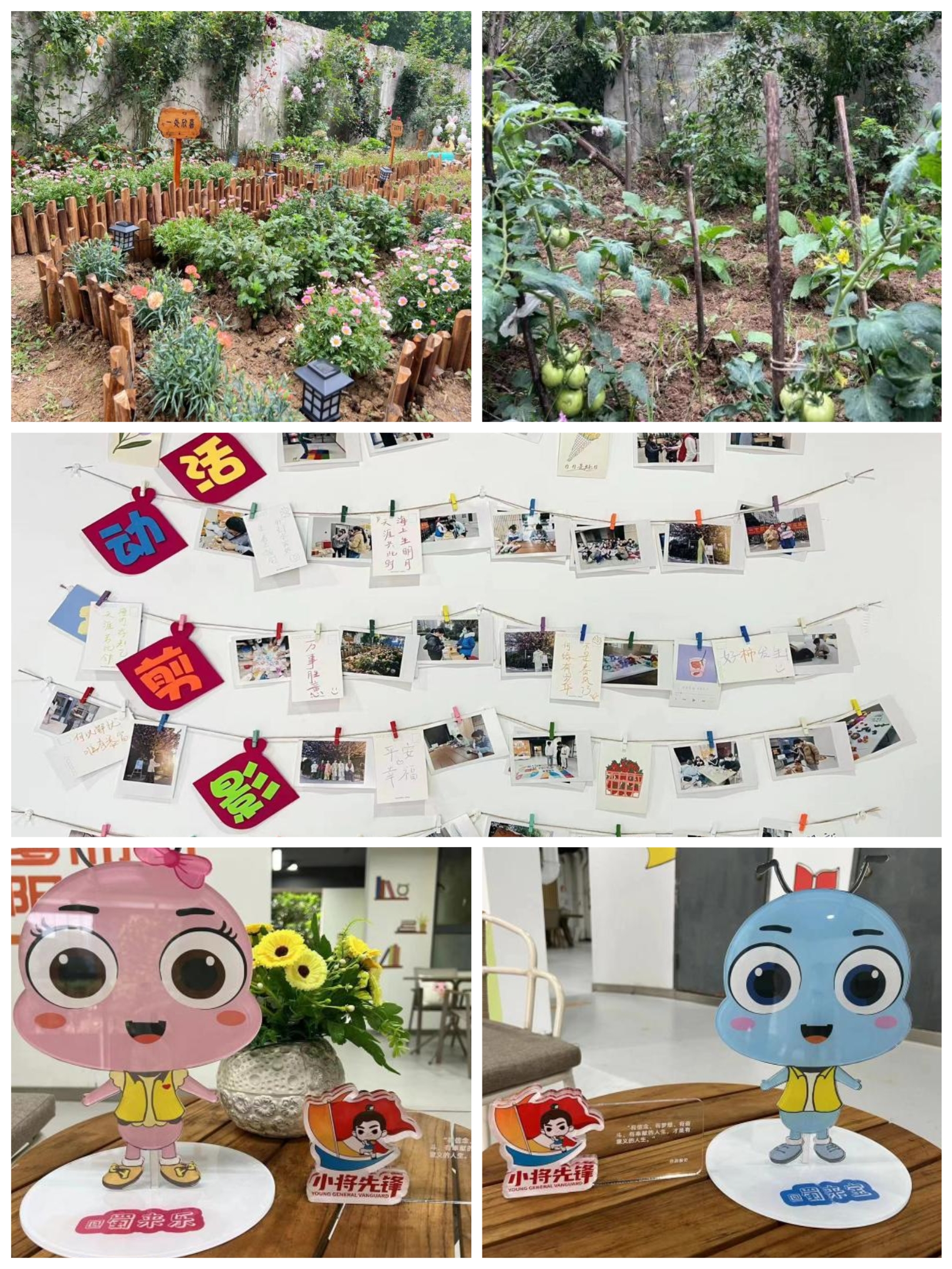 ������k8����Ӯ�ҡ�һ������